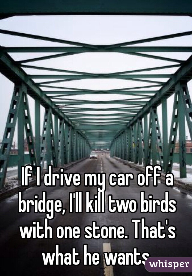 If I drive my car off a bridge, I'll kill two birds with one stone. That's what he wants.