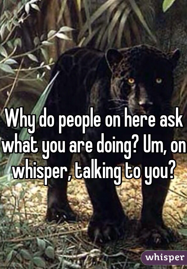 Why do people on here ask what you are doing? Um, on whisper, talking to you?