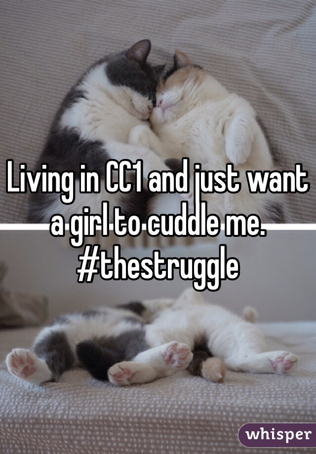 Living in CC1 and just want a girl to cuddle me.
#thestruggle