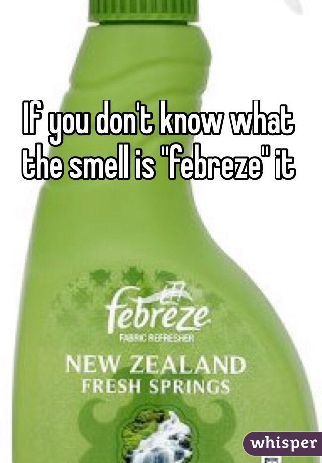 If you don't know what the smell is "febreze" it
