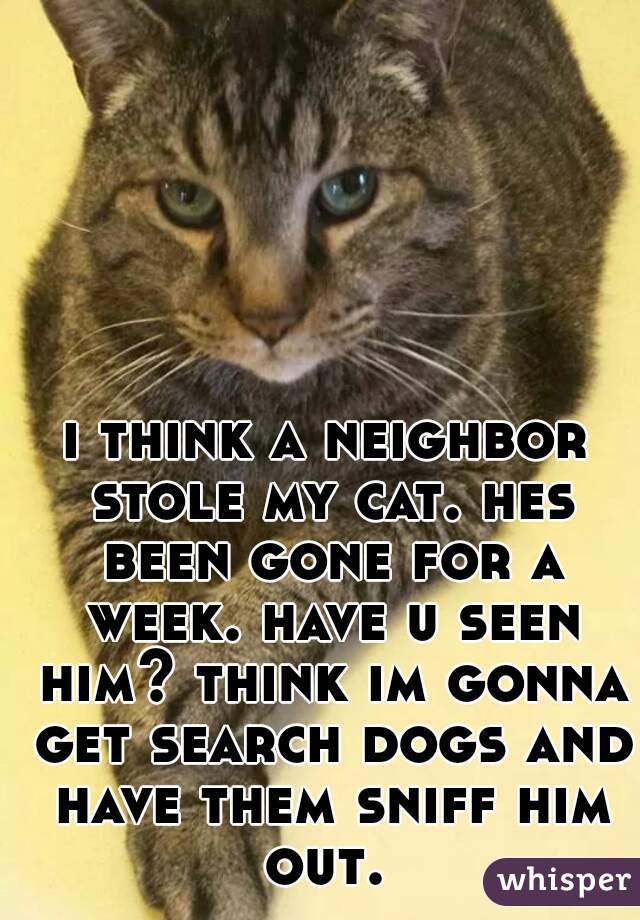 i think a neighbor stole my cat. hes been gone for a week. have u seen him? think im gonna get search dogs and have them sniff him out. 