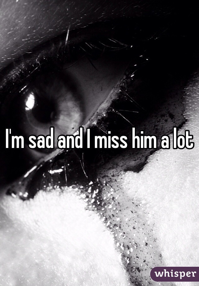I'm sad and I miss him a lot 