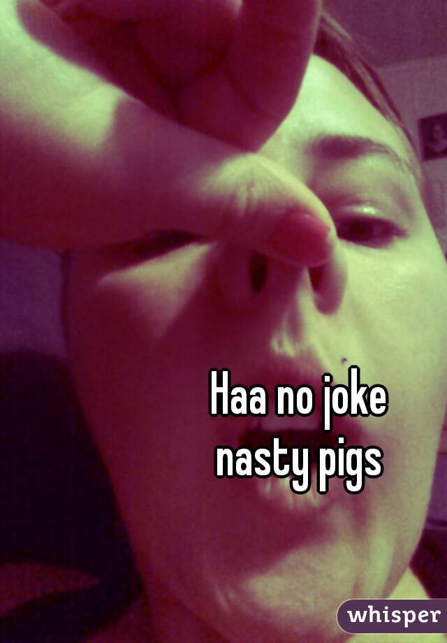 Haa no joke 
nasty pigs 