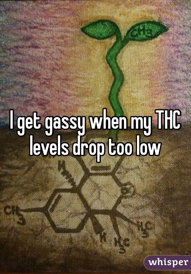 I get gassy when my THC levels drop too low