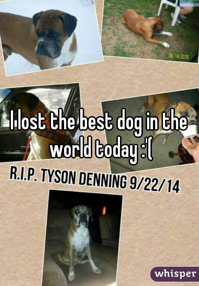 I lost the best dog in the world today :'(
