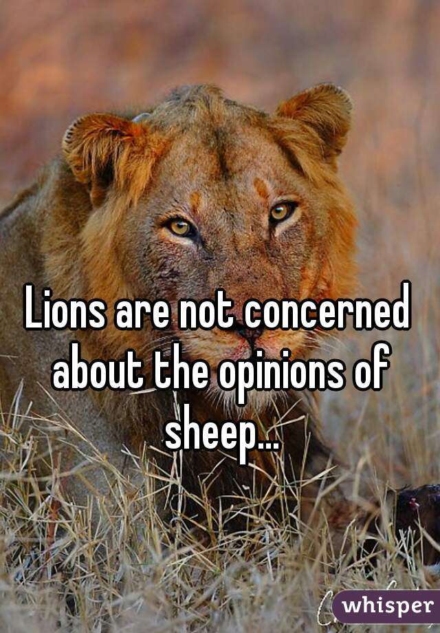 Lions are not concerned about the opinions of sheep...