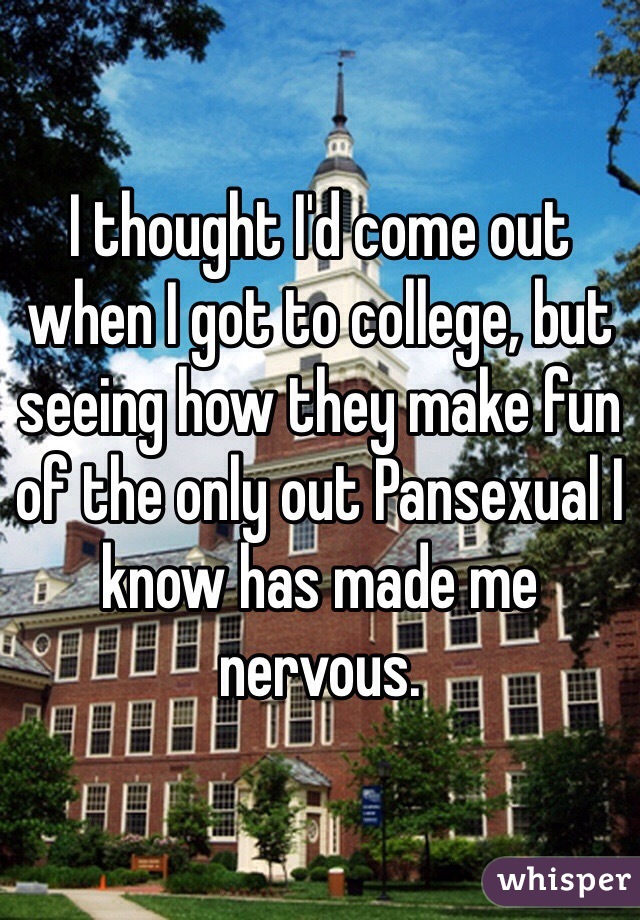 I thought I'd come out when I got to college, but seeing how they make fun of the only out Pansexual I know has made me nervous.