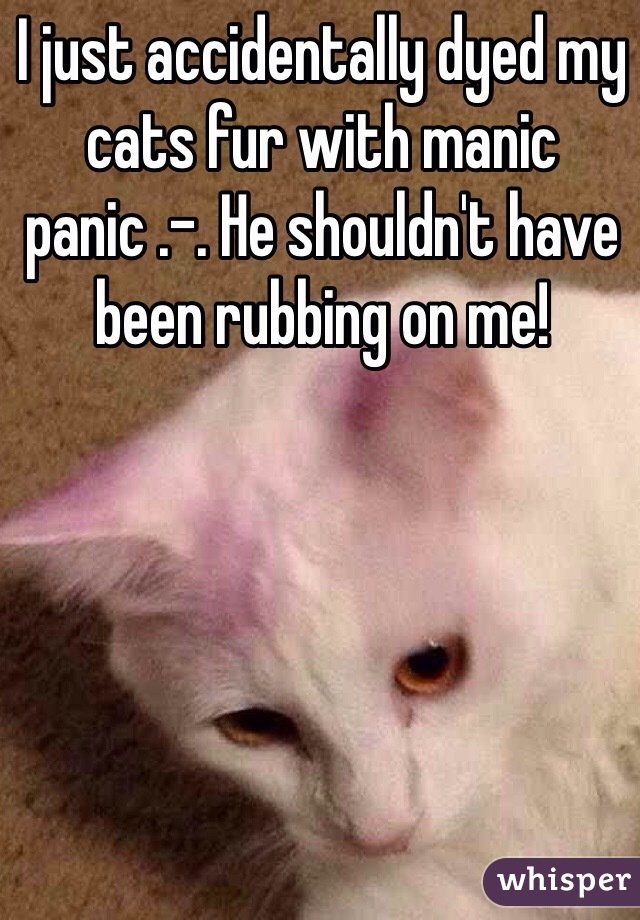 I just accidentally dyed my cats fur with manic panic .-. He shouldn't have been rubbing on me!