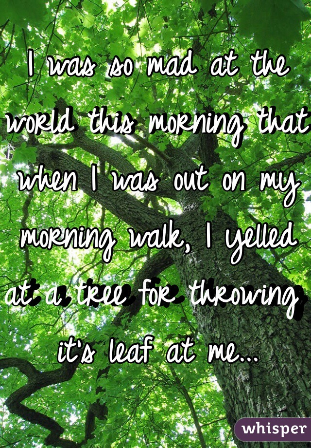 I was so mad at the world this morning that when I was out on my morning walk, I yelled at a tree for throwing it's leaf at me...