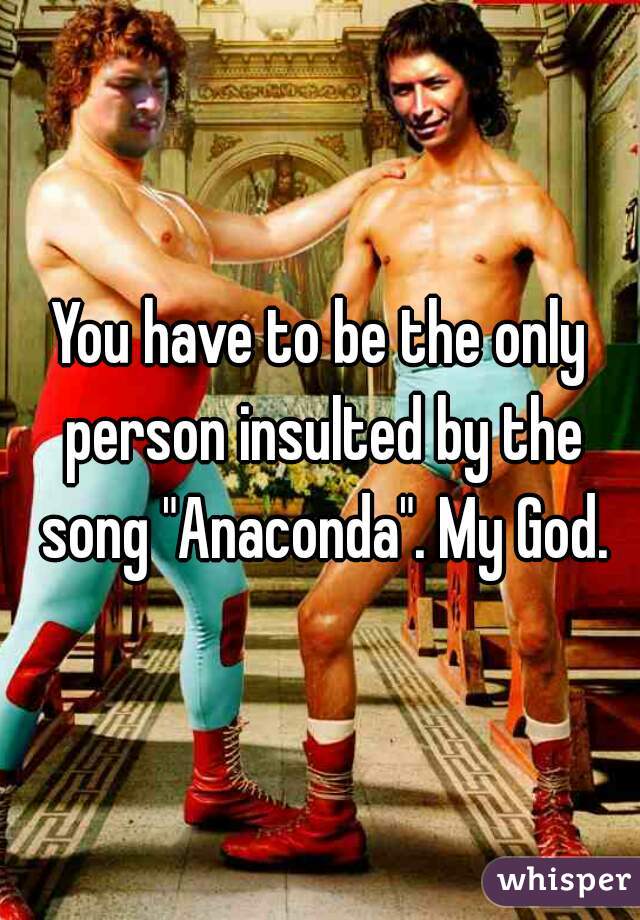 You have to be the only person insulted by the song "Anaconda". My God.