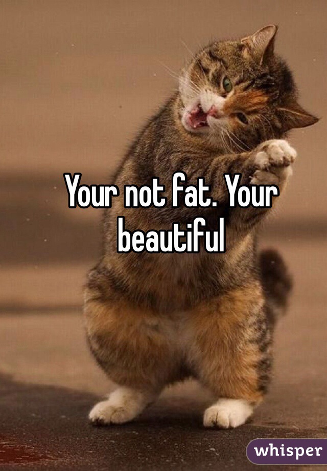 Your not fat. Your beautiful