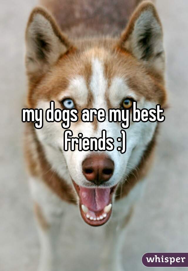 my dogs are my best friends :)