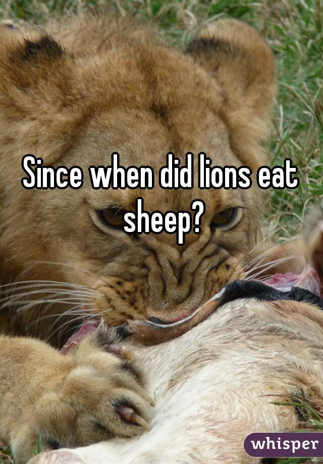 Since when did lions eat sheep?
   