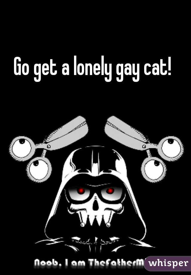 Go get a lonely gay cat! 