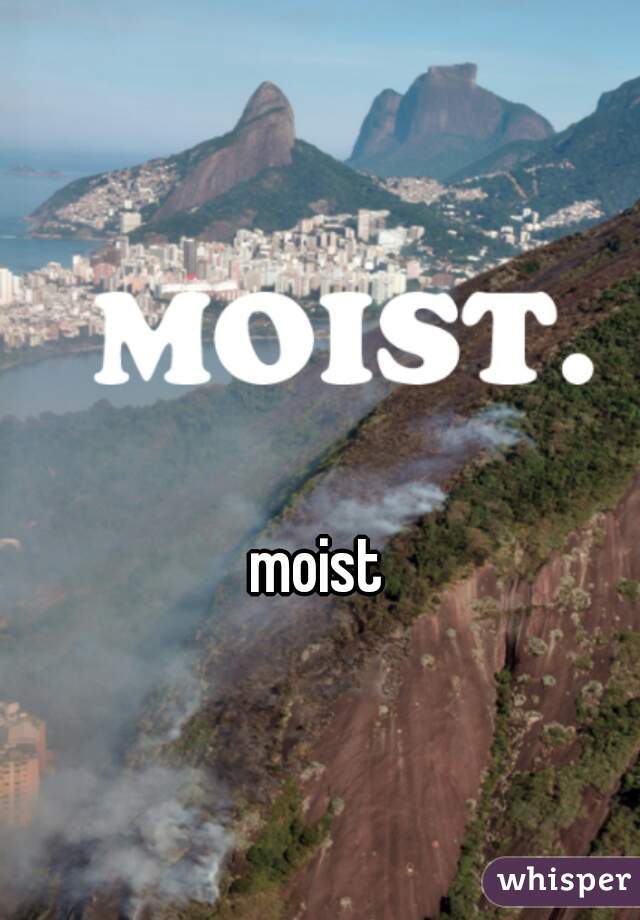 moist
