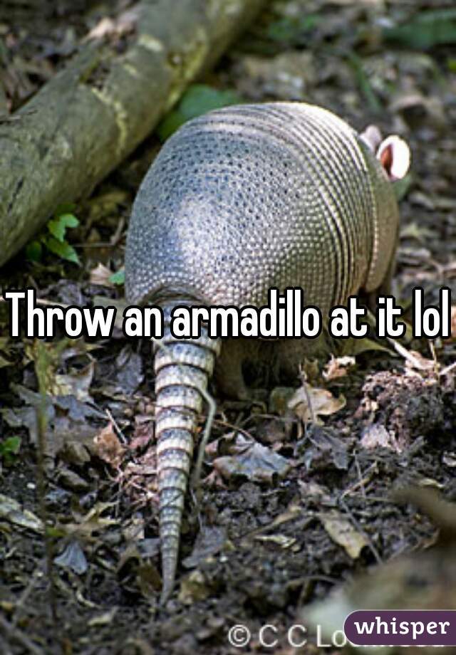 Throw an armadillo at it lol