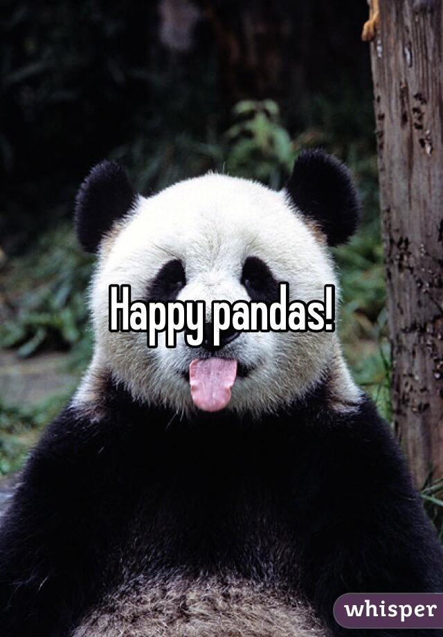 Happy pandas!