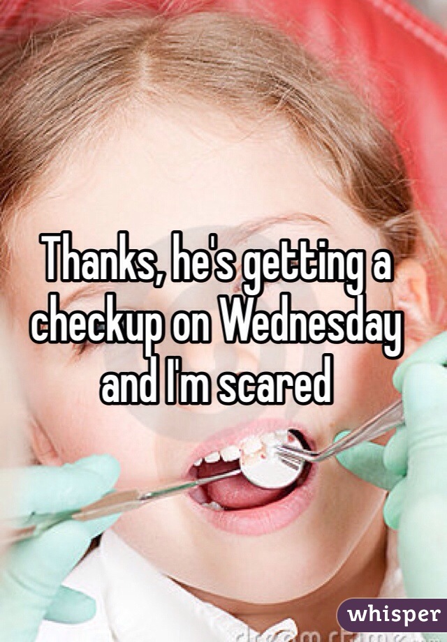 Thanks, he's getting a checkup on Wednesday and I'm scared