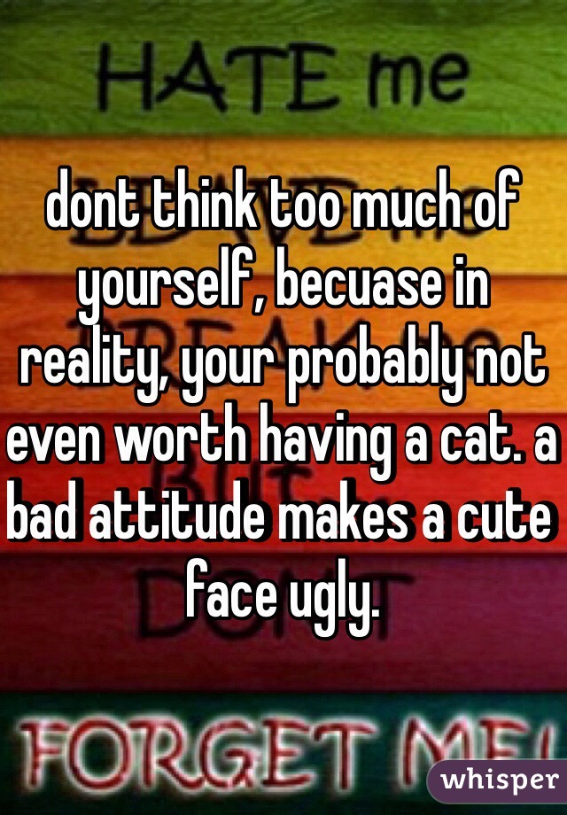dont think too much of yourself, becuase in reality, your probably not even worth having a cat. a bad attitude makes a cute face ugly. 
