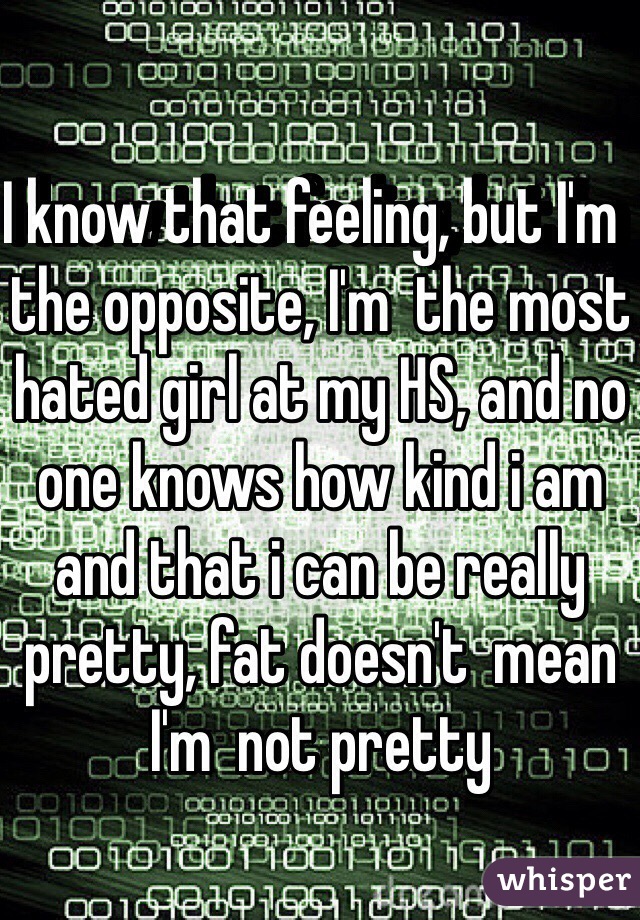 I know that feeling, but I'm  the opposite, I'm  the most hated girl at my HS, and no one knows how kind i am and that i can be really pretty, fat doesn't  mean I'm  not pretty