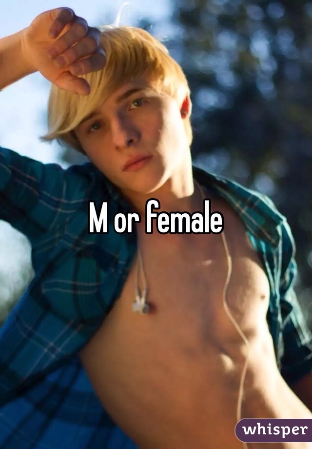 M or female