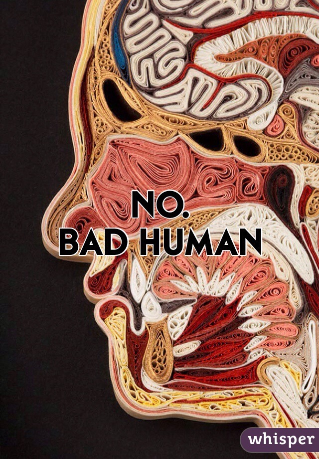 NO.
BAD HUMAN