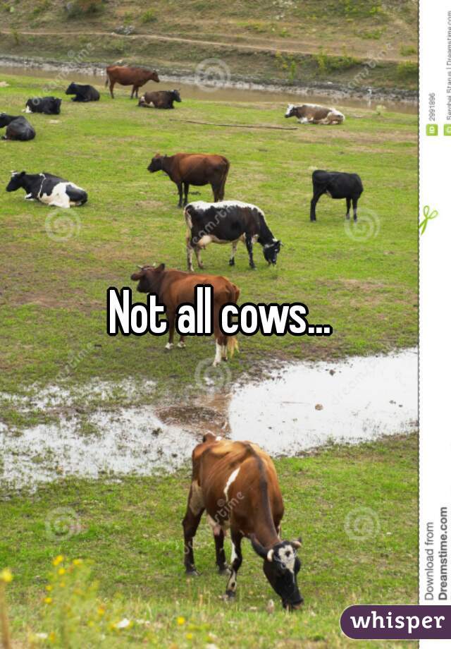 Not all cows... 