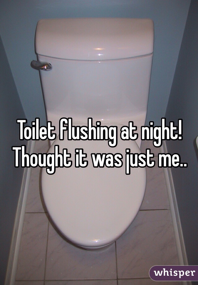 Toilet flushing at night! Thought it was just me..
