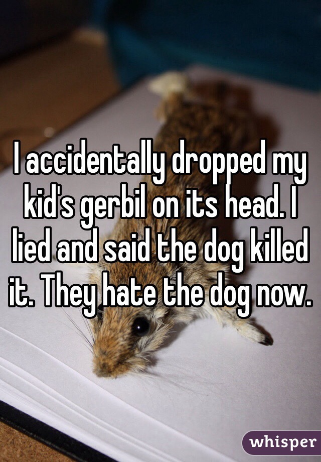 I accidentally dropped my kid's gerbil on its head. I lied and said the dog killed it. They hate the dog now. 