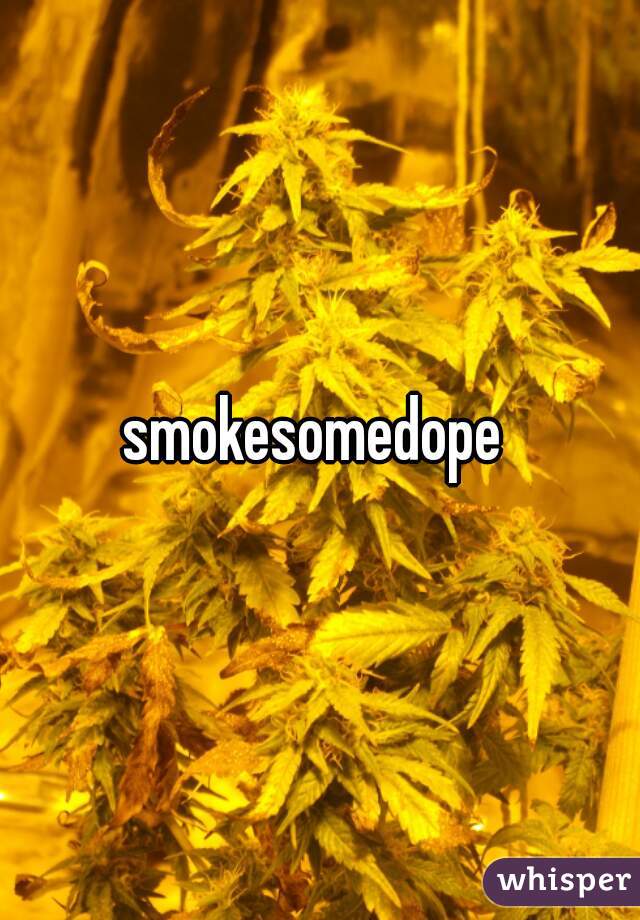 smokesomedope 
