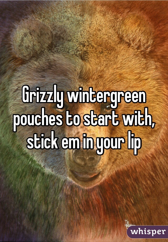 Grizzly wintergreen pouches to start with, stick em in your lip