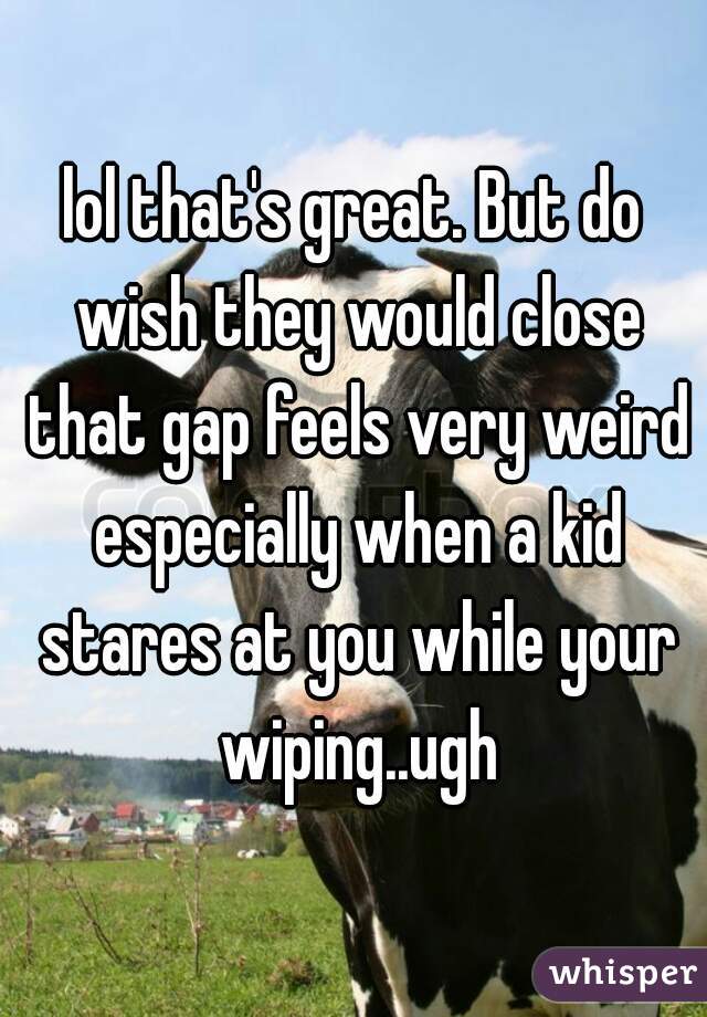 lol that's great. But do wish they would close that gap feels very weird especially when a kid stares at you while your wiping..ugh