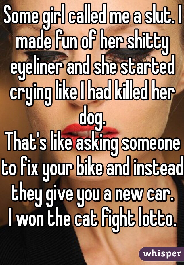 Some girl called me a slut. I made fun of her shitty eyeliner and she started crying like I had killed her dog.
That's like asking someone to fix your bike and instead they give you a new car.
I won the cat fight lotto.  
