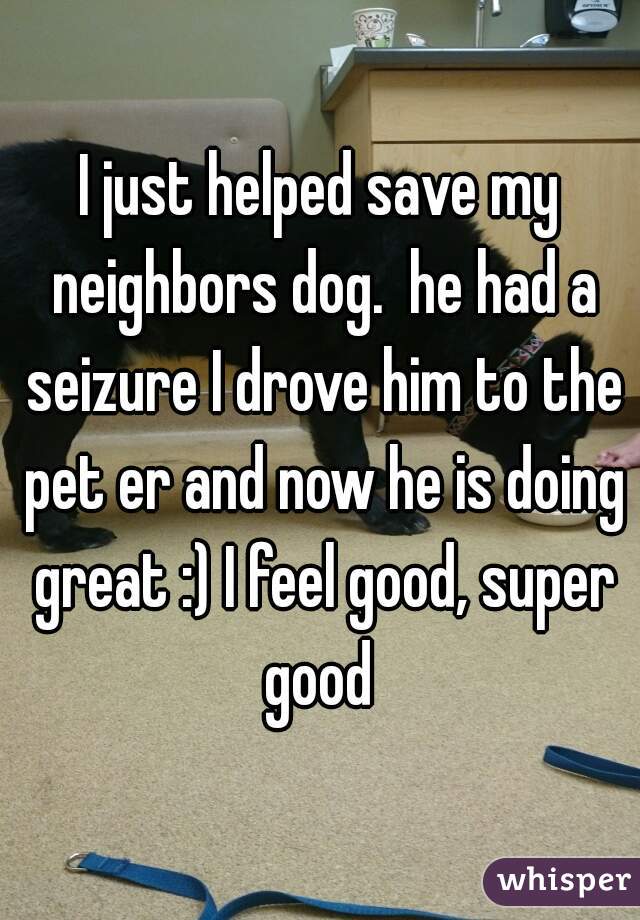 I just helped save my neighbors dog.  he had a seizure I drove him to the pet er and now he is doing great :) I feel good, super good 