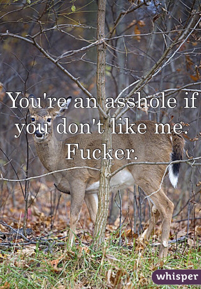 You're an asshole if you don't like me. Fucker.