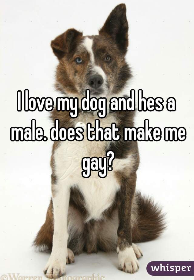 I love my dog and hes a male. does that make me gay?
