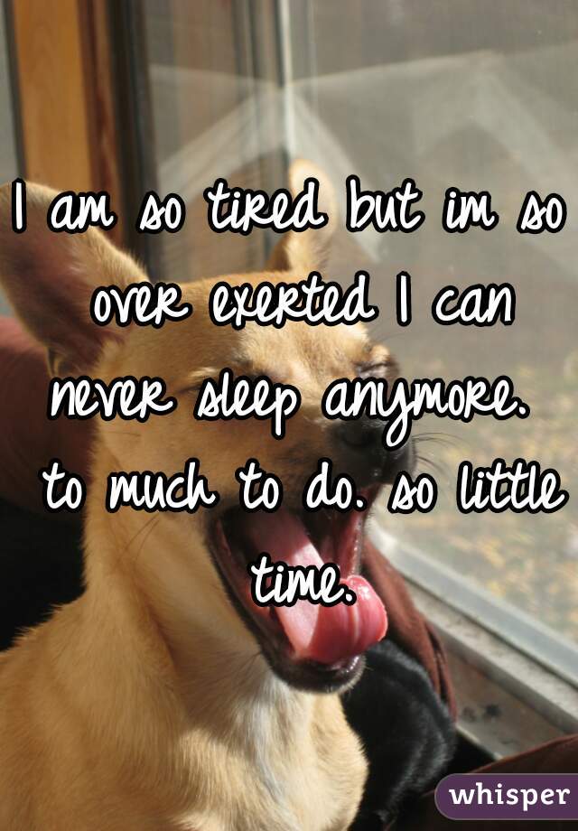 I am so tired but im so over exerted I can never sleep anymore.  to much to do. so little time.