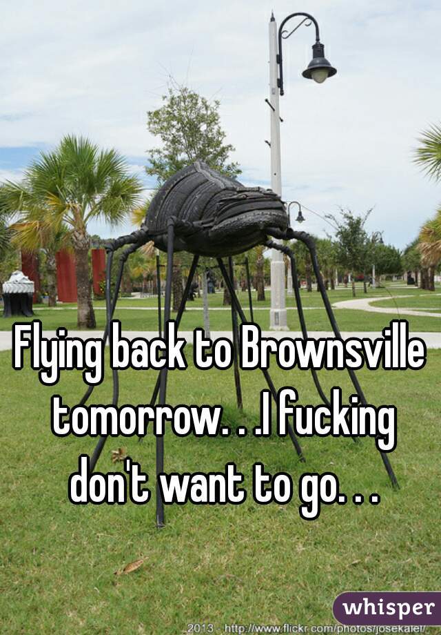 Flying back to Brownsville tomorrow. . .I fucking don't want to go. . .