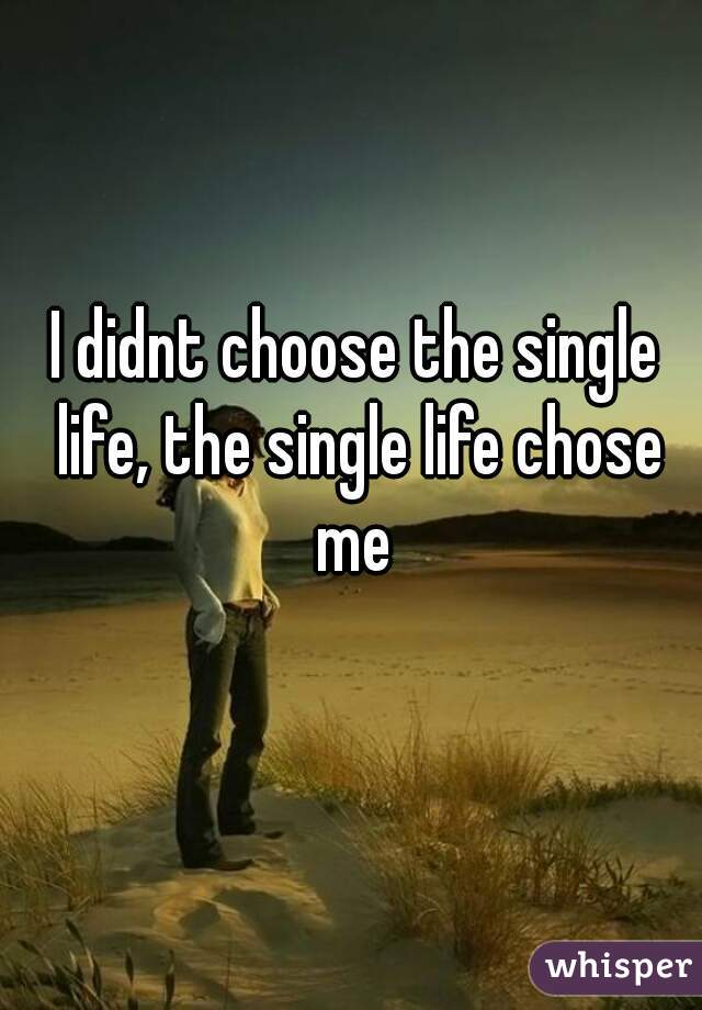 I didnt choose the single life, the single life chose me 