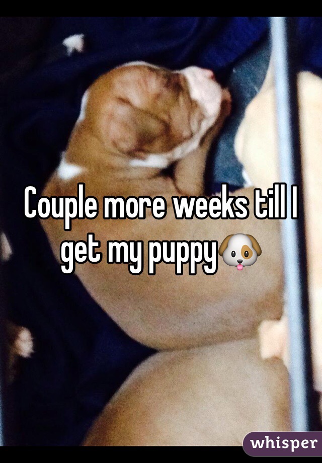 Couple more weeks till I get my puppy🐶