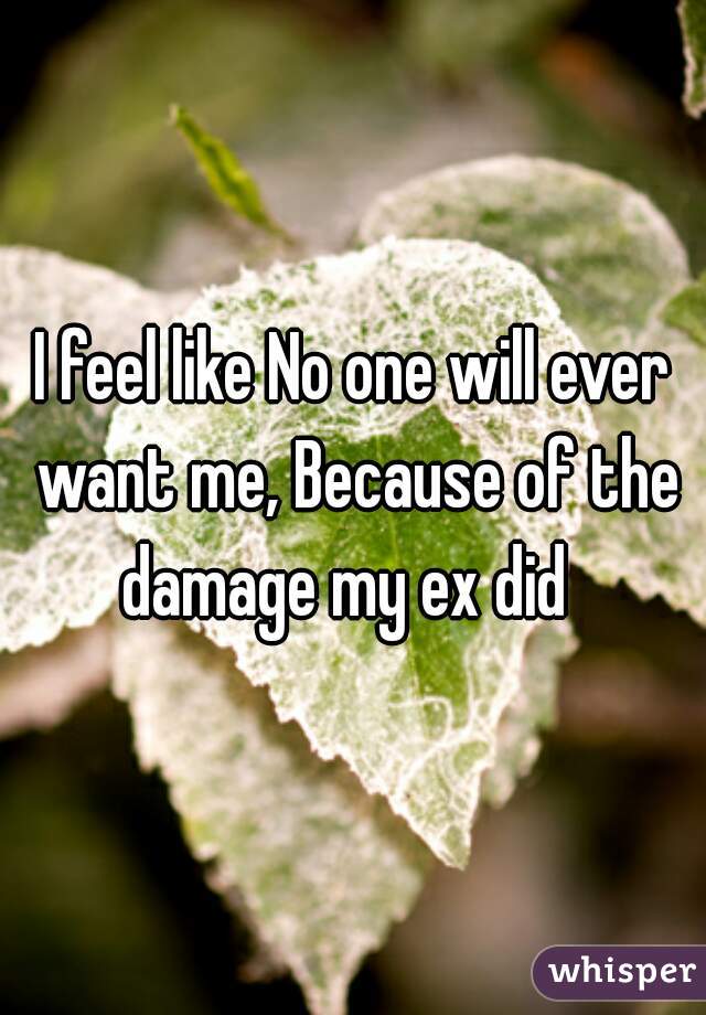 I feel like No one will ever want me, Because of the damage my ex did  