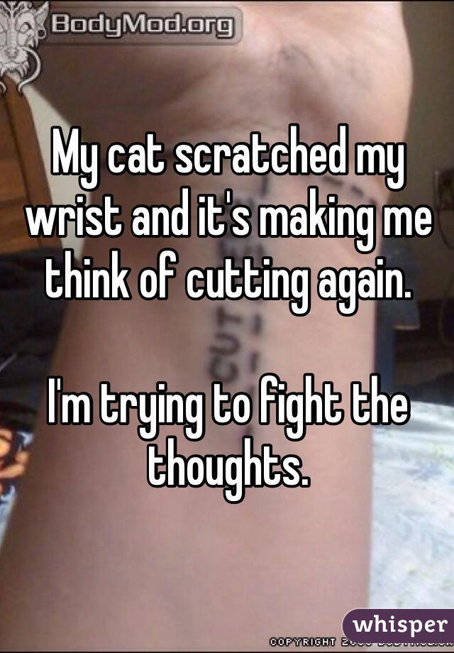 My cat scratched my wrist and it's making me think of cutting again.

I'm trying to fight the thoughts.