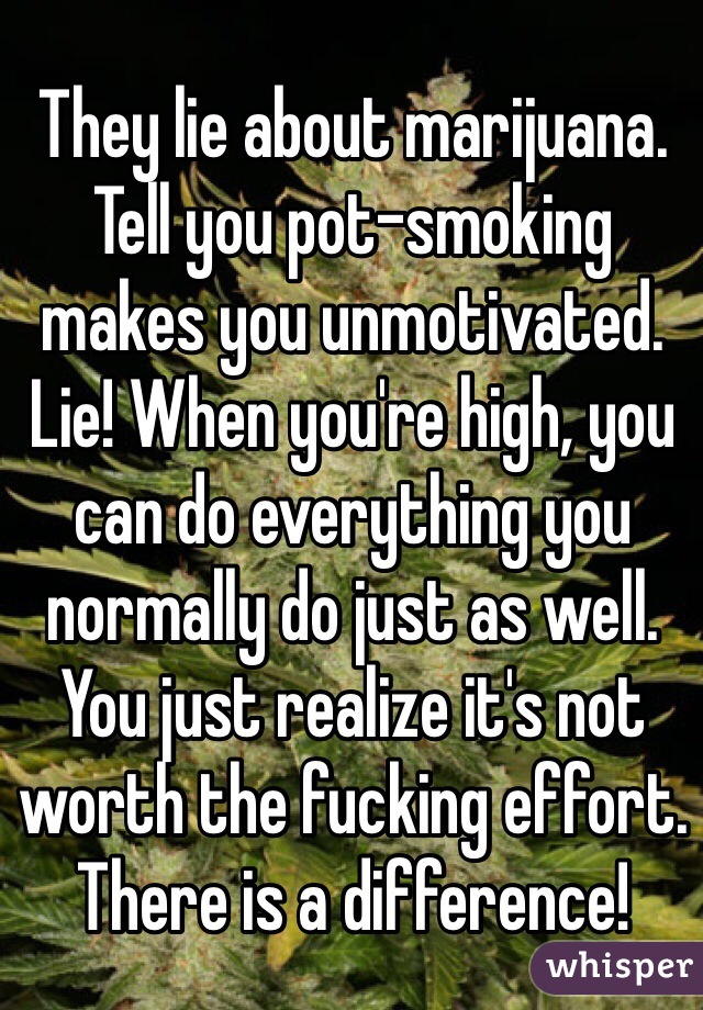 They lie about marijuana. Tell you pot-smoking makes you unmotivated. Lie! When you're high, you can do everything you normally do just as well. You just realize it's not worth the fucking effort. There is a difference! 