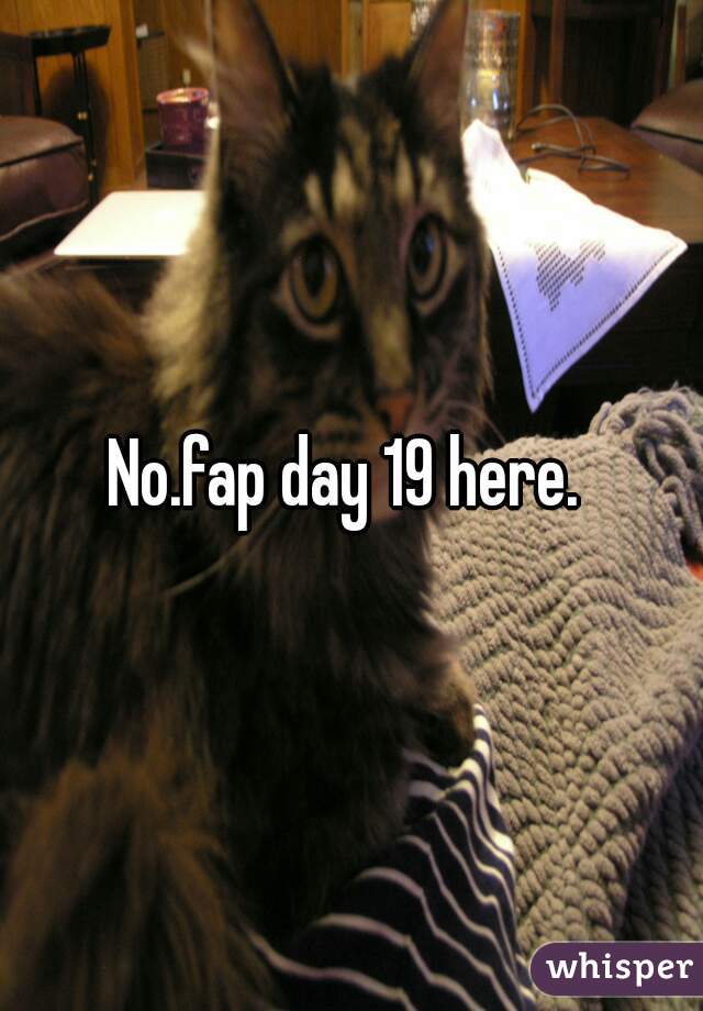 No.fap day 19 here. 