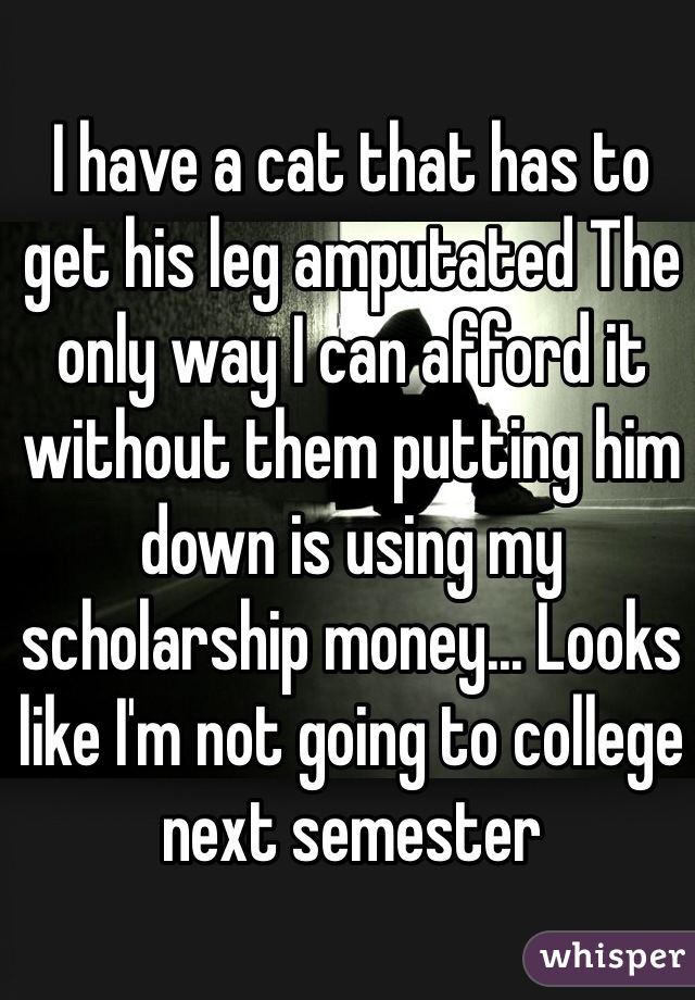 I have a cat that has to get his leg amputated The only way I can afford it without them putting him down is using my scholarship money... Looks like I'm not going to college next semester