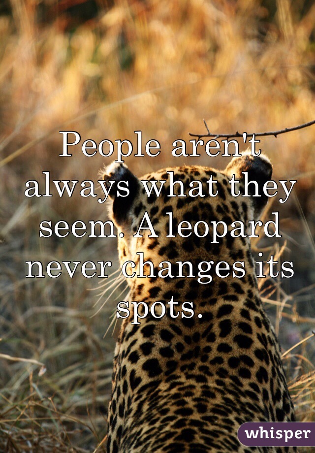 People aren't always what they seem. A leopard never changes its spots. 