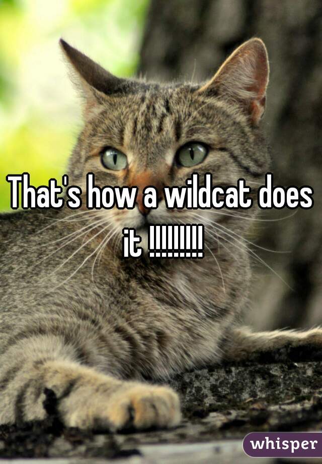 That's how a wildcat does it !!!!!!!!!