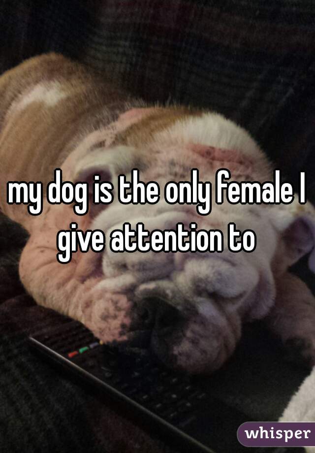 my dog is the only female I give attention to 