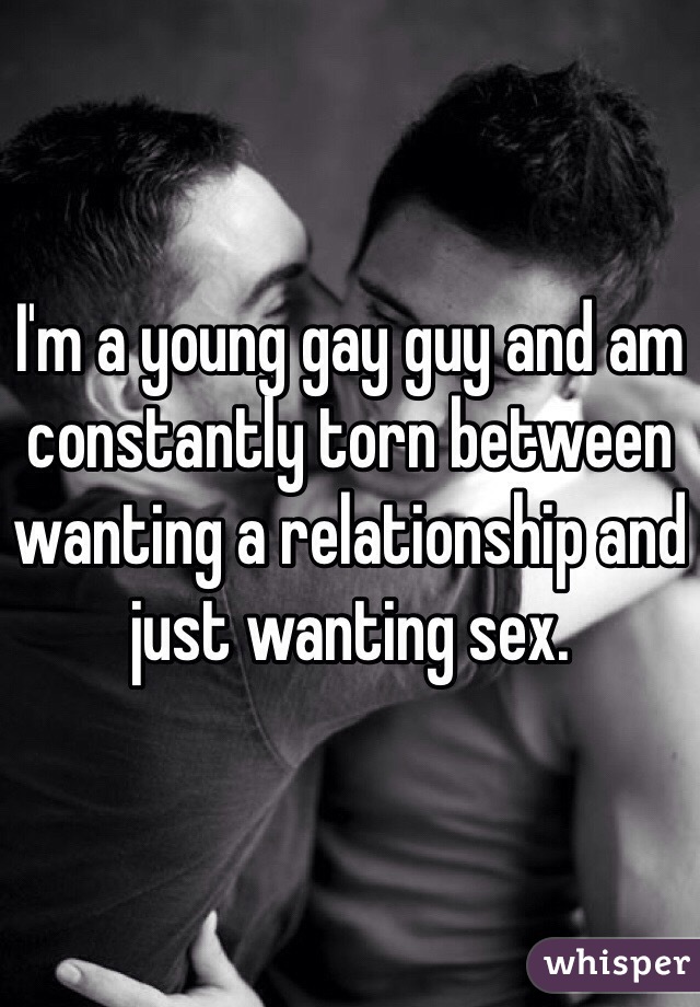 I'm a young gay guy and am constantly torn between wanting a relationship and just wanting sex. 