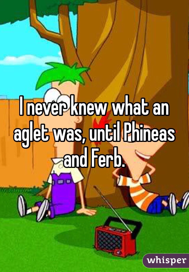 I never knew what an aglet was, until Phineas and Ferb. 